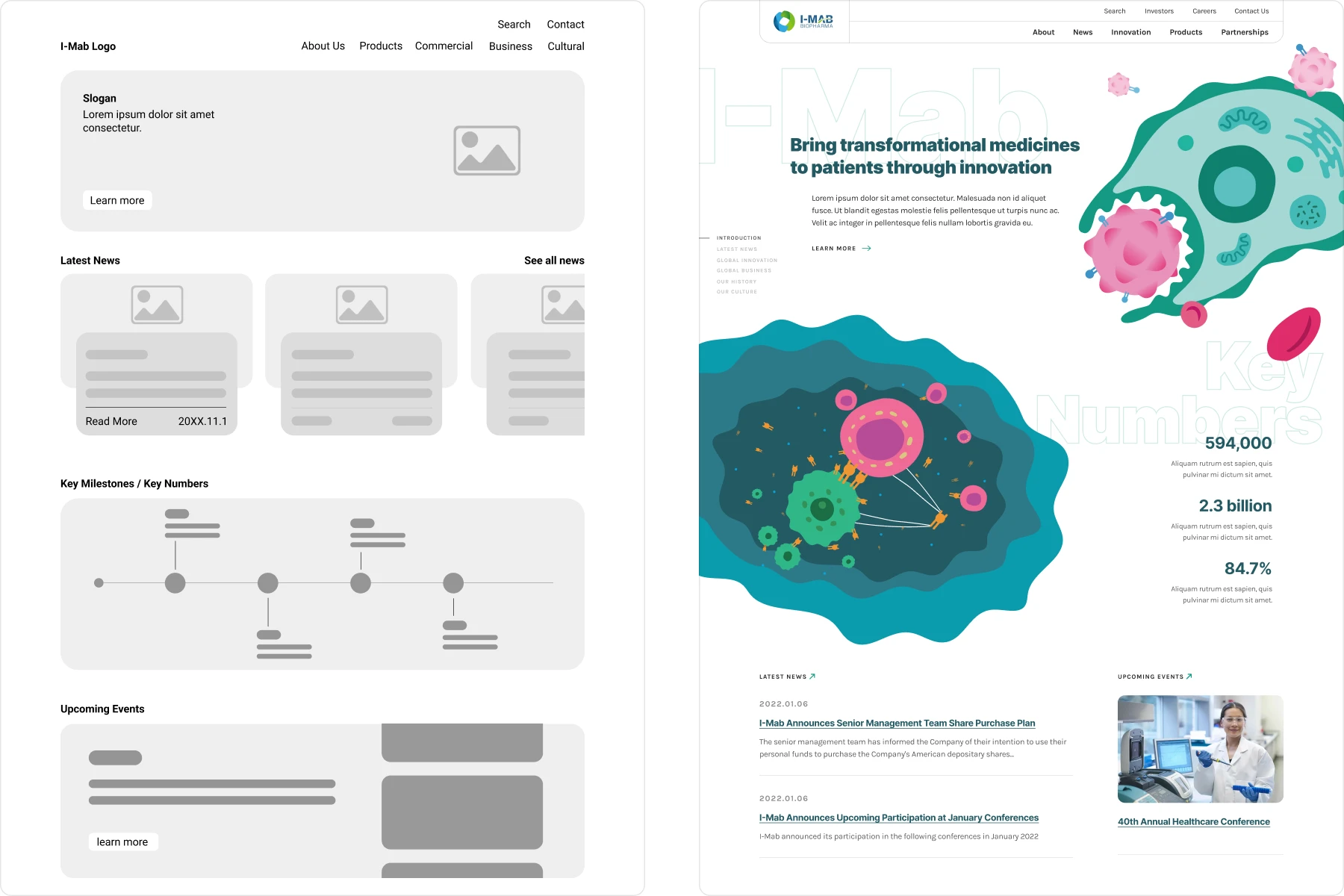 I-Mab information architecture study